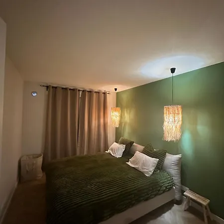 Appartement Spacieux Et Moderne T2 Près Du Centre Cannes